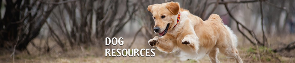 Pet Resources - Dog training- dog health and wellness- service dogs- puppy training